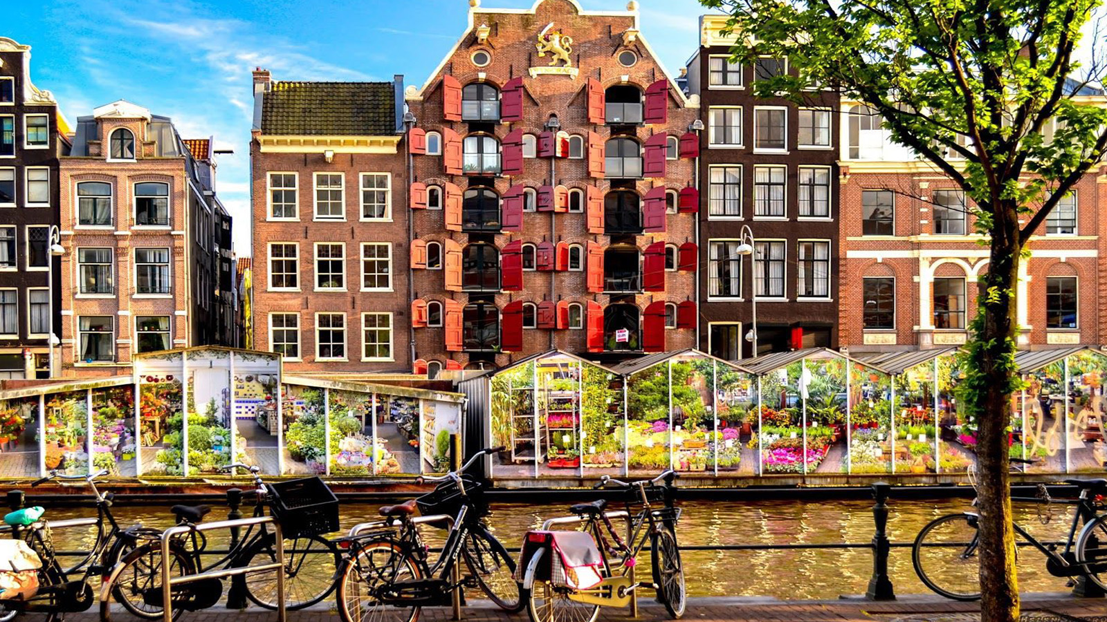 DU LỊCH CHÂU ÂU: PHÁP - BỈ - HÀ LAN - ĐỨC