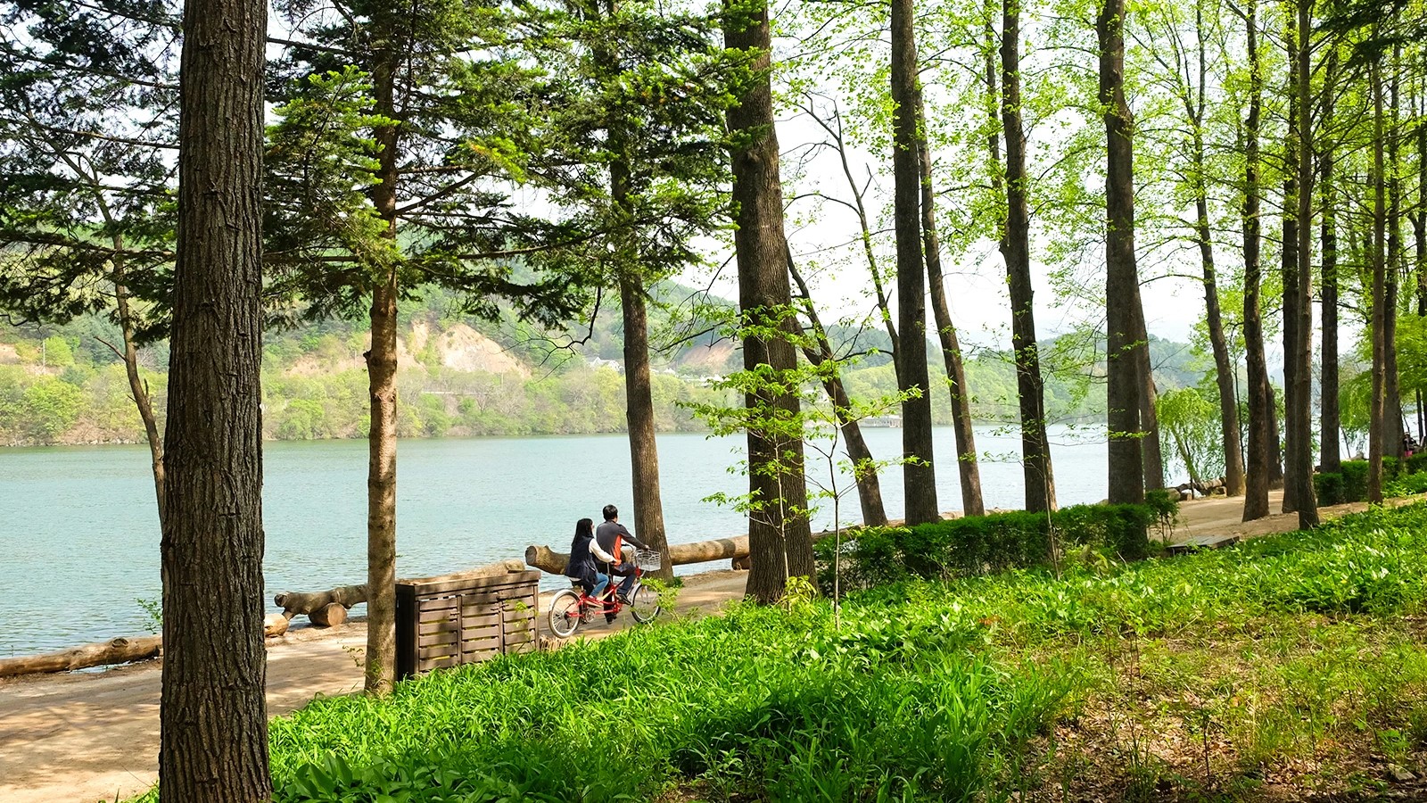 MÙA HÈ HÀN QUỐC: SEOUL - NAMI - LOTTE WORLD