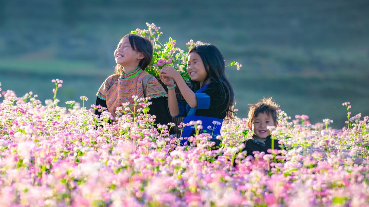 MÙA XUÂN NƠI MIỀN ĐÁ NỞ HOA: HÀ GIANG - ĐỒNG VĂN - MÈO VẠC