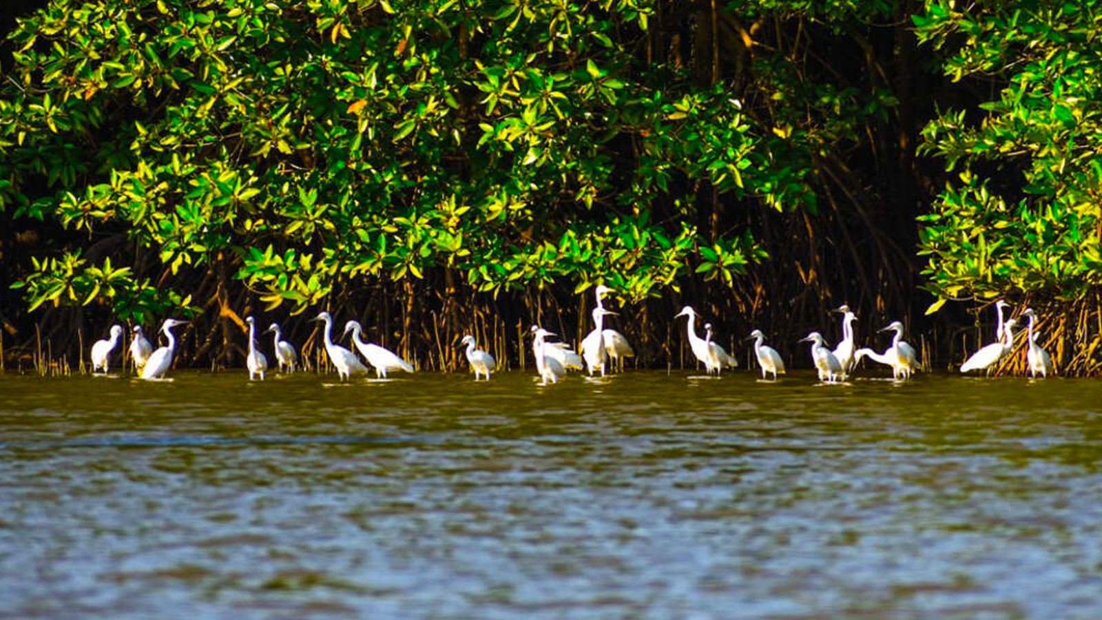 LIÊN TUYẾN: QUY NHƠN - KON TUM - PLEIKU - ĐẮK LẮK