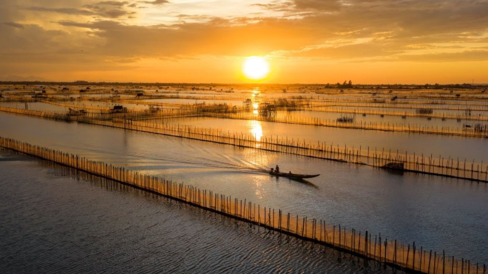 BÍNH NGỌ KHAI VẬN - ĐÃ NẴNG - HỘI AN - HUẾ