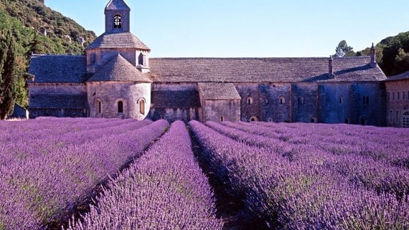 NƯỚC ÚC MÙA HOA OẢI HƯƠNG: MELBOURNE - TASMANIA - HOBART