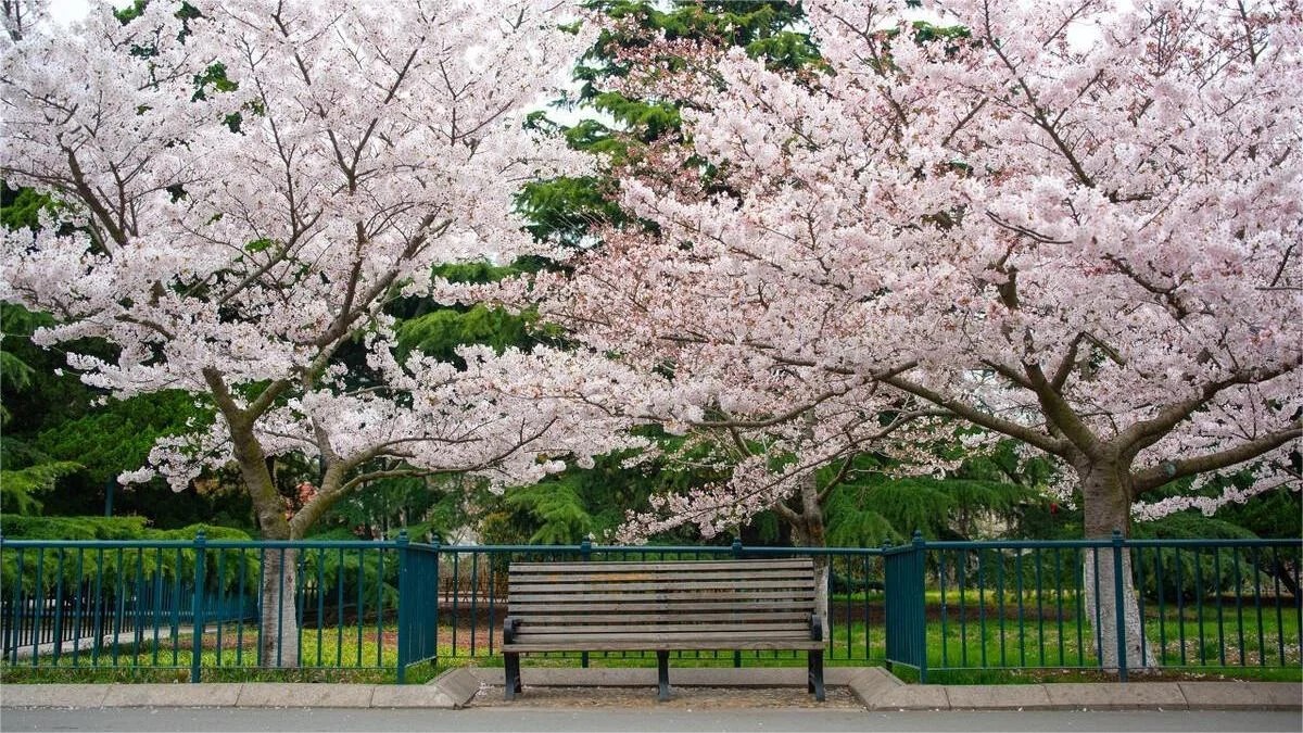 KHÁM PHÁ TINH HOA CẢNH SẮC & VĂN HÓA - THANH ĐẢO - TẾ NAM