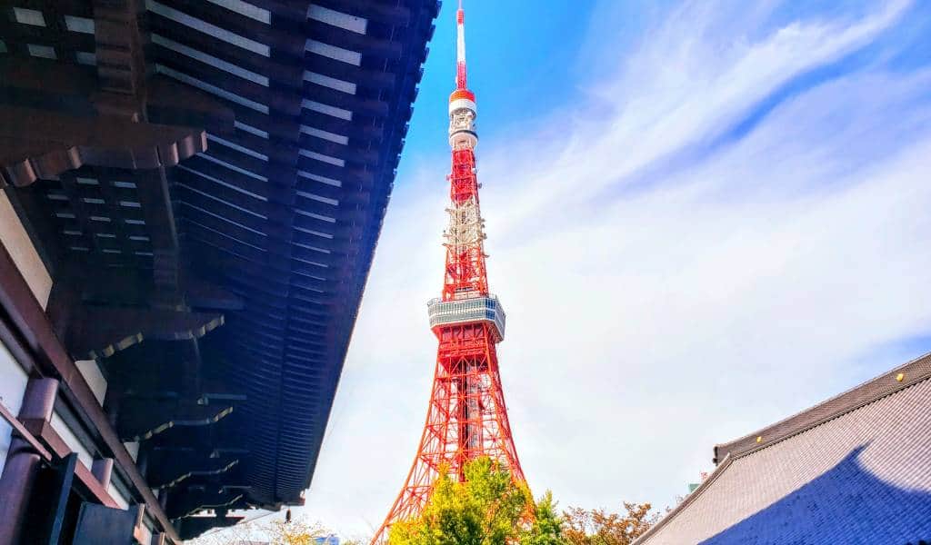 CHẠM KHÚC GIAO MÙA NHẬT BẢN: TOKYO - FUJI - HAKONE