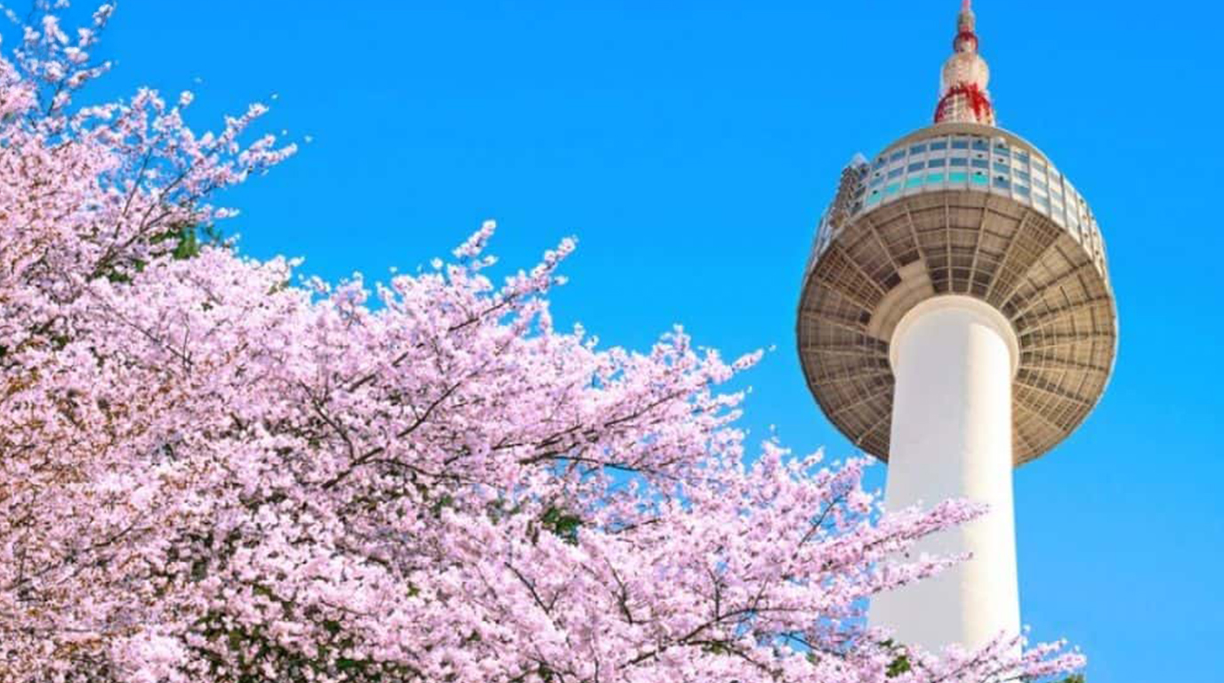 DU XUÂN HÀN QUỐC: BUSAN - SEOUL