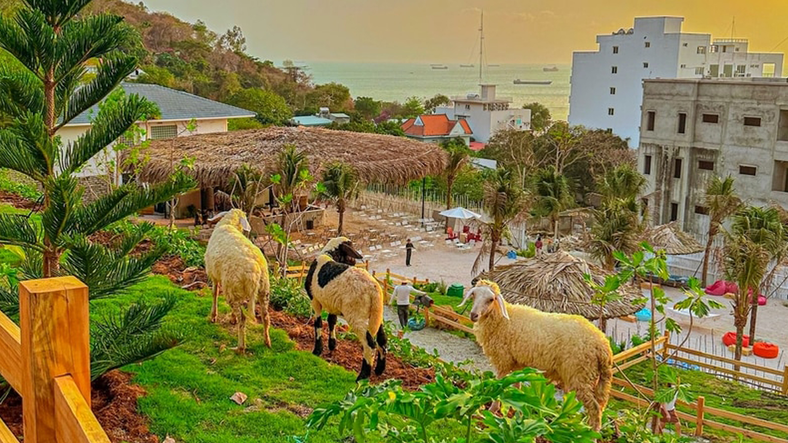HÀNH TRÌNH KHÁM PHÁ: TP. HỒ CHÍ MINH – BÌNH DƯƠNG – VŨNG TÀU