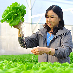 Bà Hoàng Thị Lự