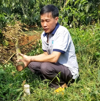 Anh Phạm Đức Hạnh 