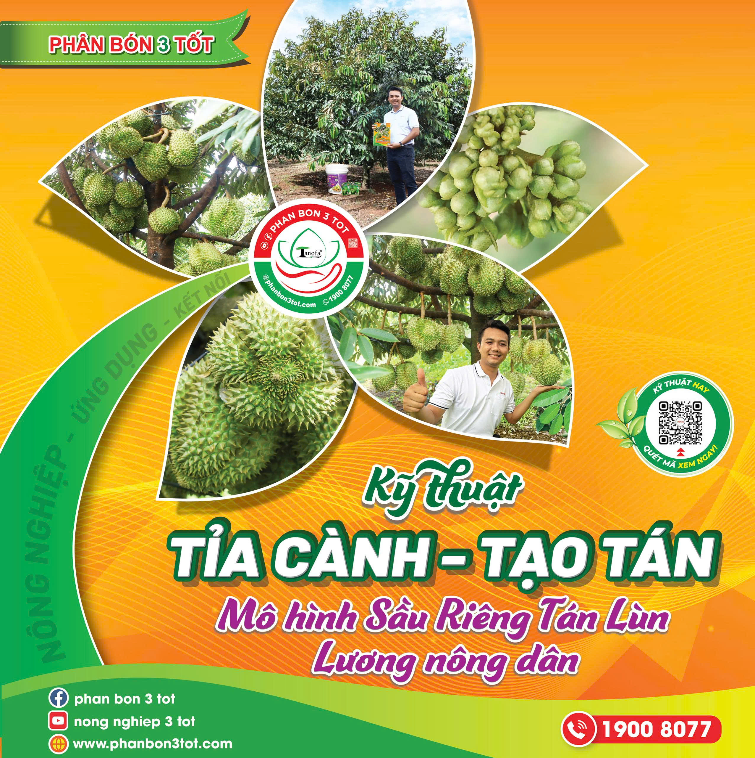 KỸ THUẬT TỈA CÀNH TẠO TÁN MÔ HÌNH SẦU RIÊNG TÁN LÙN LƯƠNG NÔNG DÂN