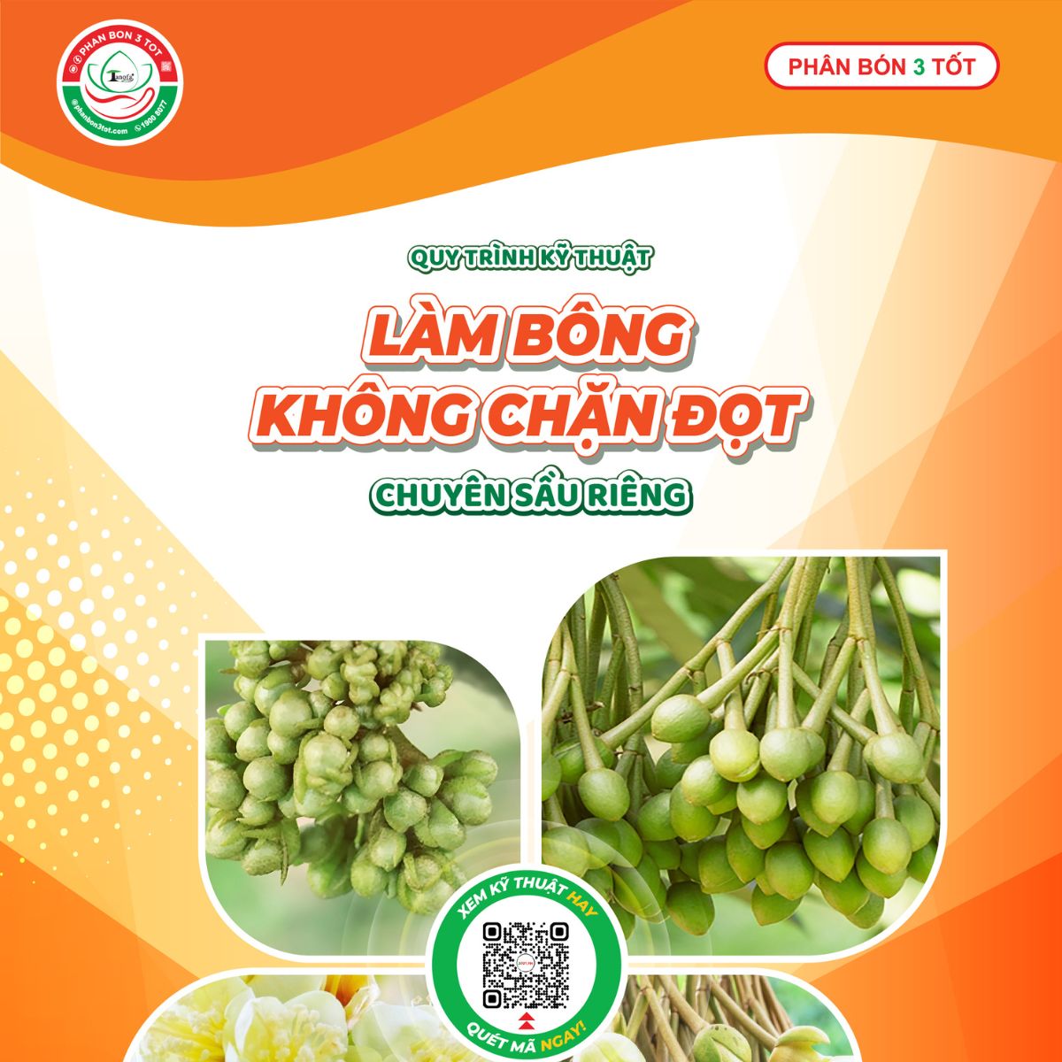 NHẬN QUY TRÌNH LÀM BÔNG KHÔNG CHẶN ĐỌT