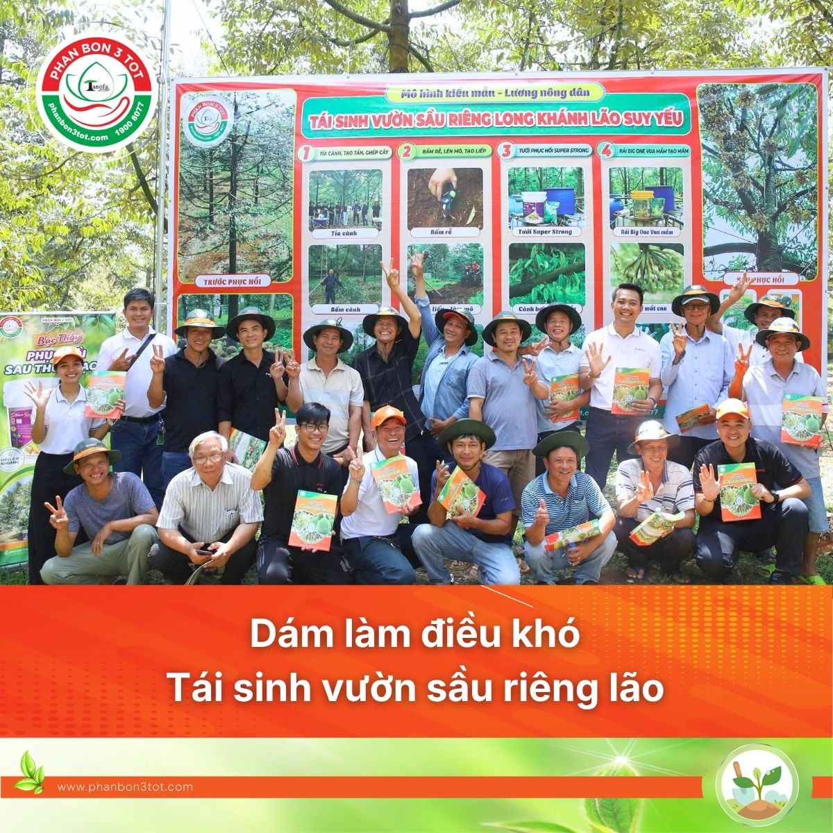 Từ Suy Kiệt Đến Trĩu Bông: Hành Trình Tái Sinh Vườn Sầu Riêng Không Phân Hóa Học