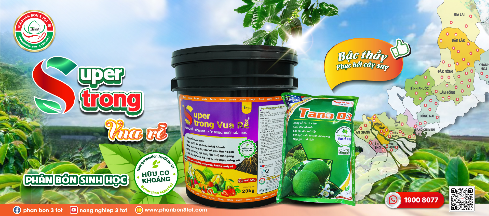 phân bón 3 tốt - Bosa top làm bông không paclo