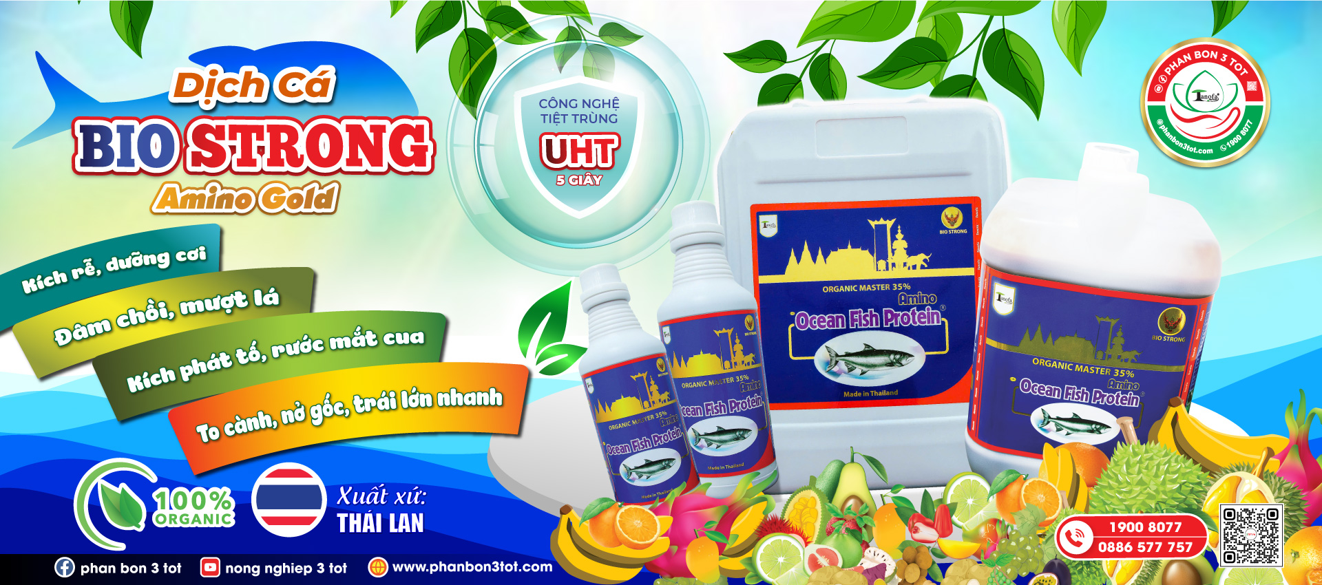 phân bón 3 tốt - Mô hình sầu riêng tán lùn