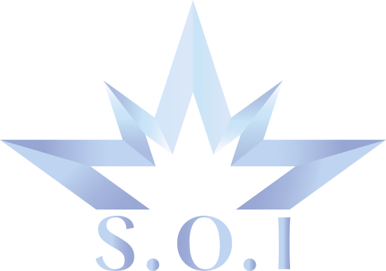 S.O.I Cosmetics Store