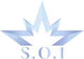 S.O.I Cosmetics Store