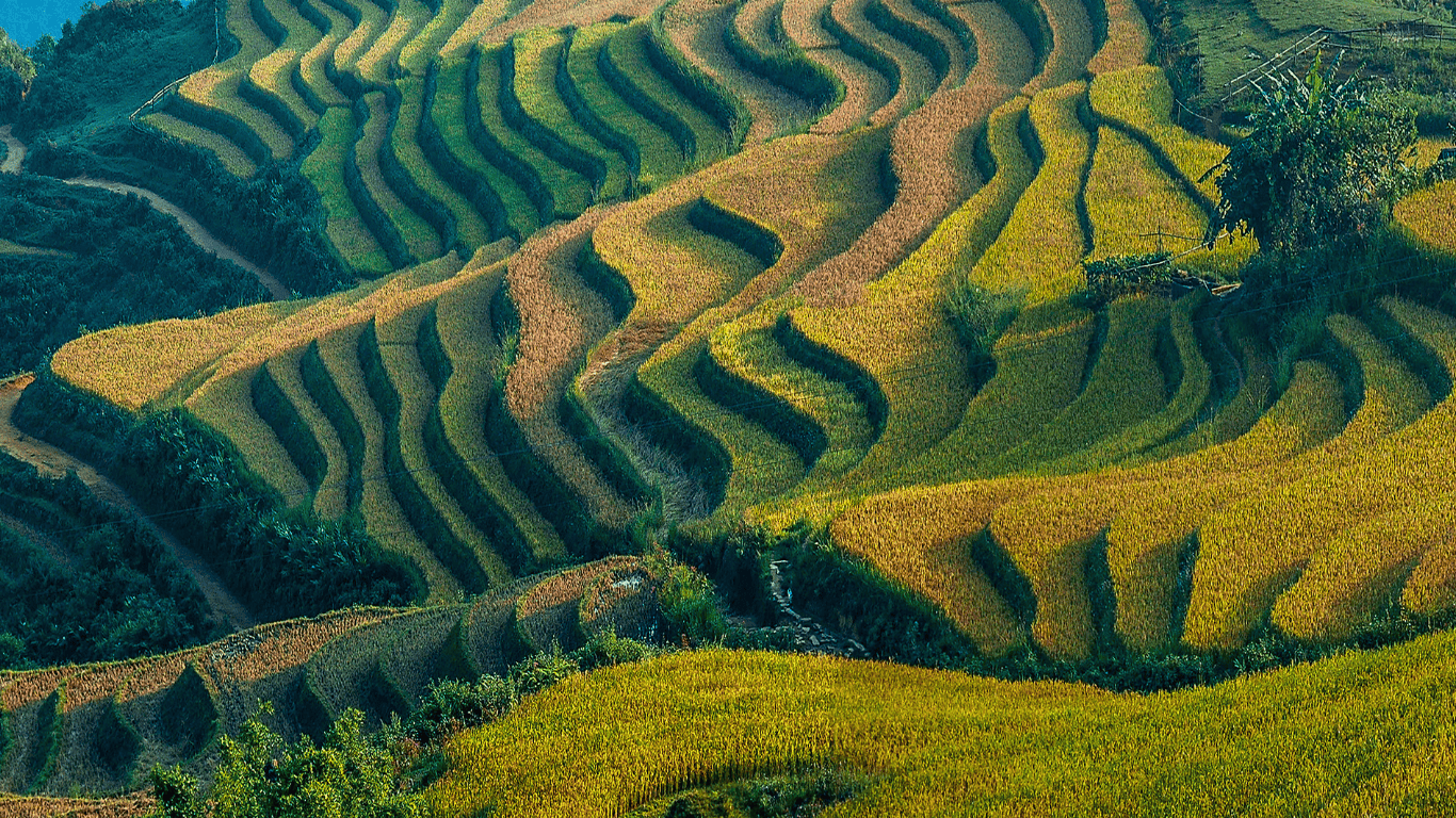 5 Days 4 Nights Private Halal Tour Hanoi – Sapa – Fansipan