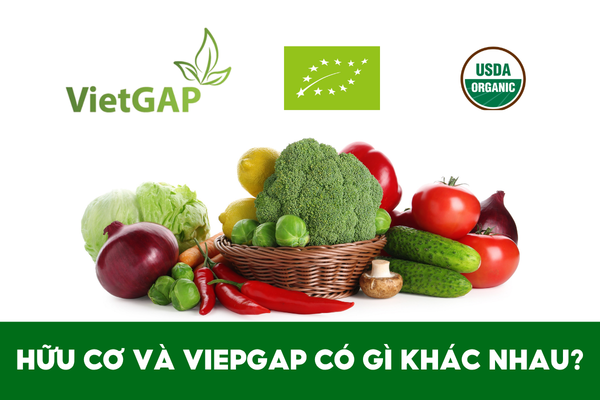Hữu cơ khác gì với VietGAP