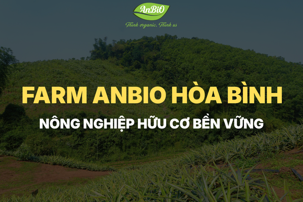 Hành Trình Đầu Tư Vùng Trồng Hữu Cơ Vì Một Nền Nông Nghiệp Bền Vững