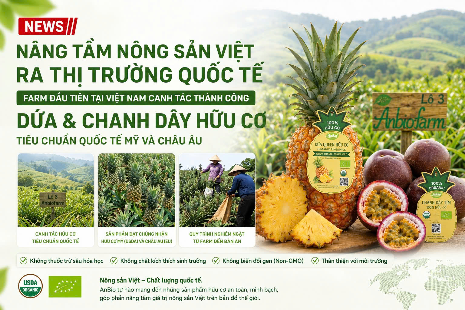Farm đầu tiên tại Việt Nam canh tác thành công dứa và chanh dây hữu cơ tiêu chuẩn quốc tế Mỹ và châu Âu