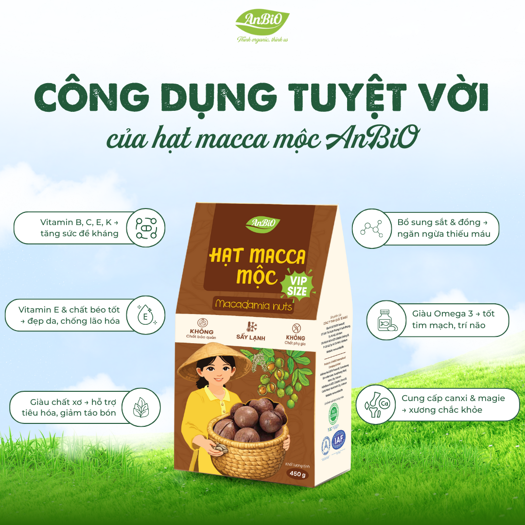 Hạt Macca Mộc Vip Size - 450g