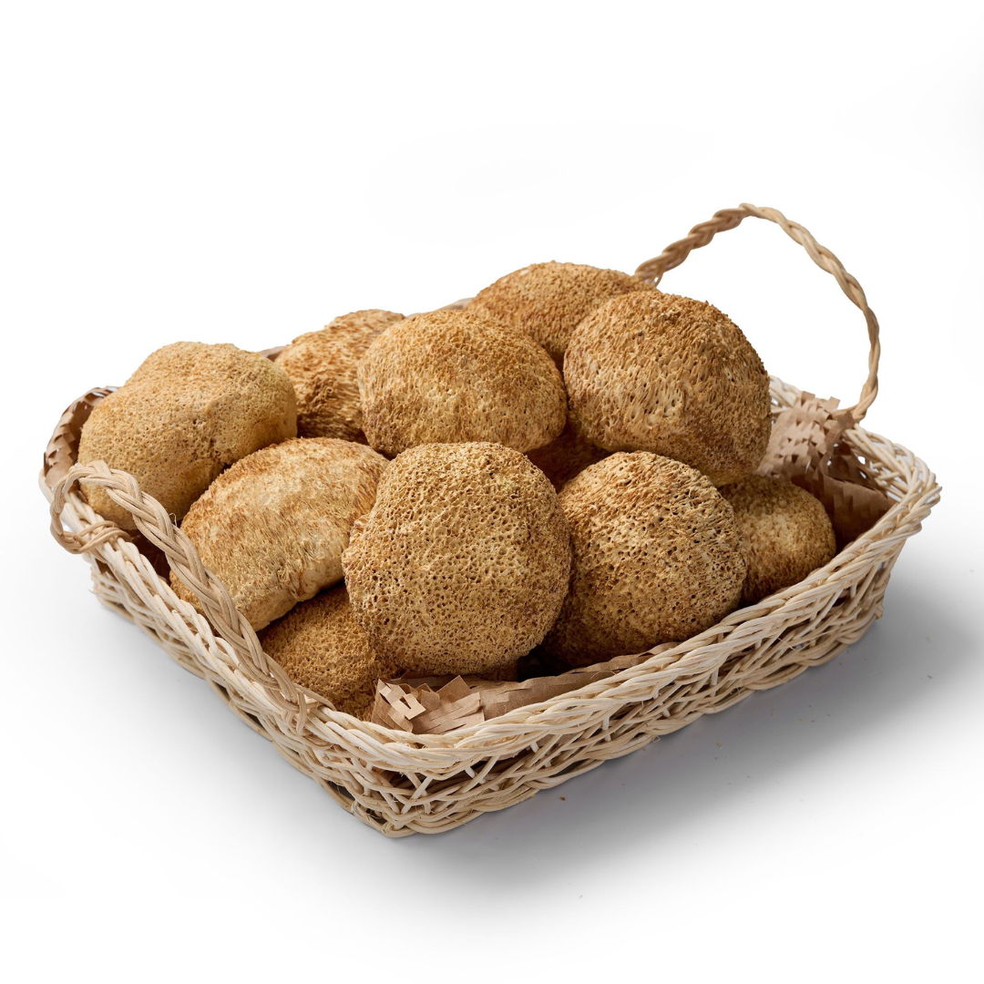 Nấm hầu thủ cao cấp túi 100g/300g/500g