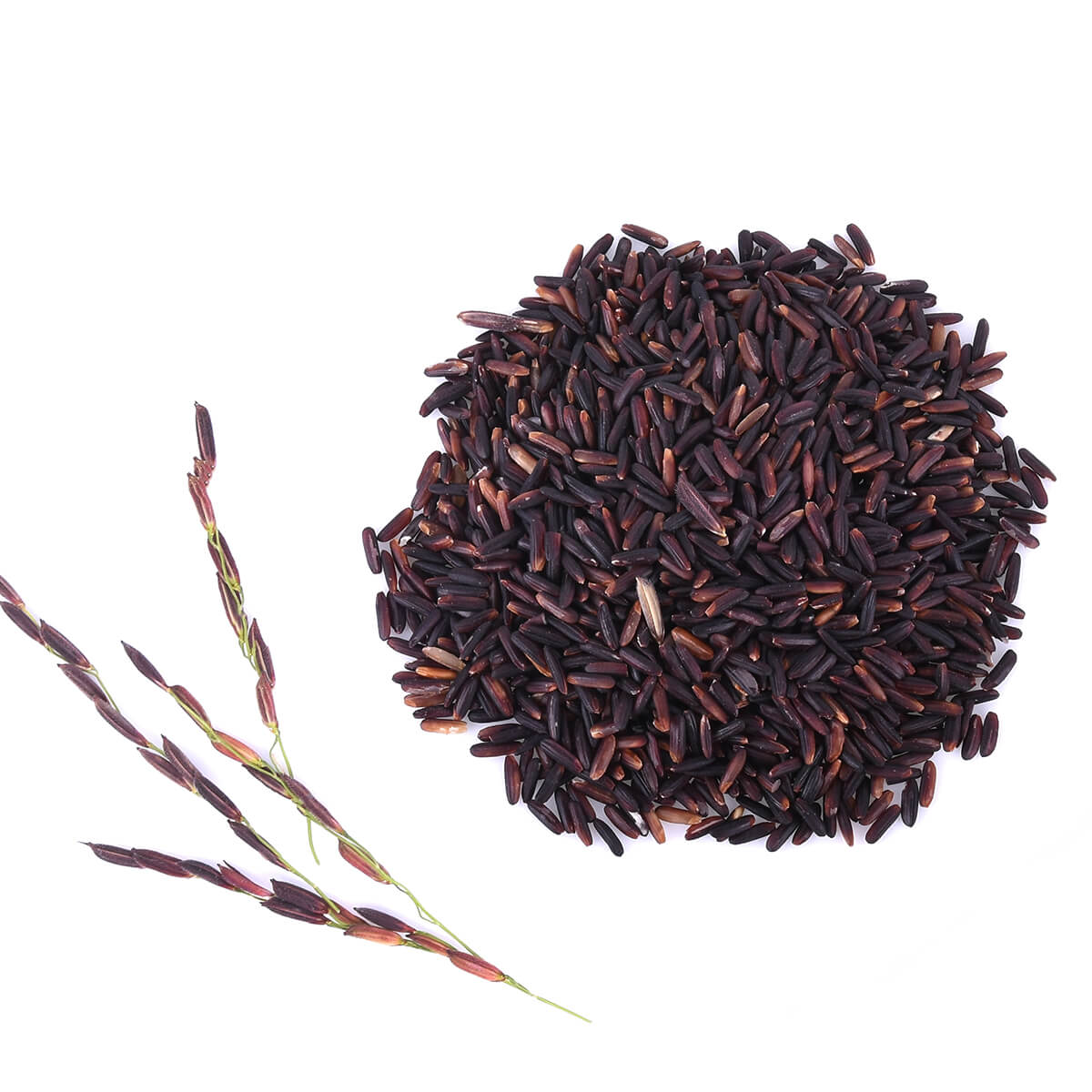 Gạo Lứt tím HC Hoa Nắng (1Kg)