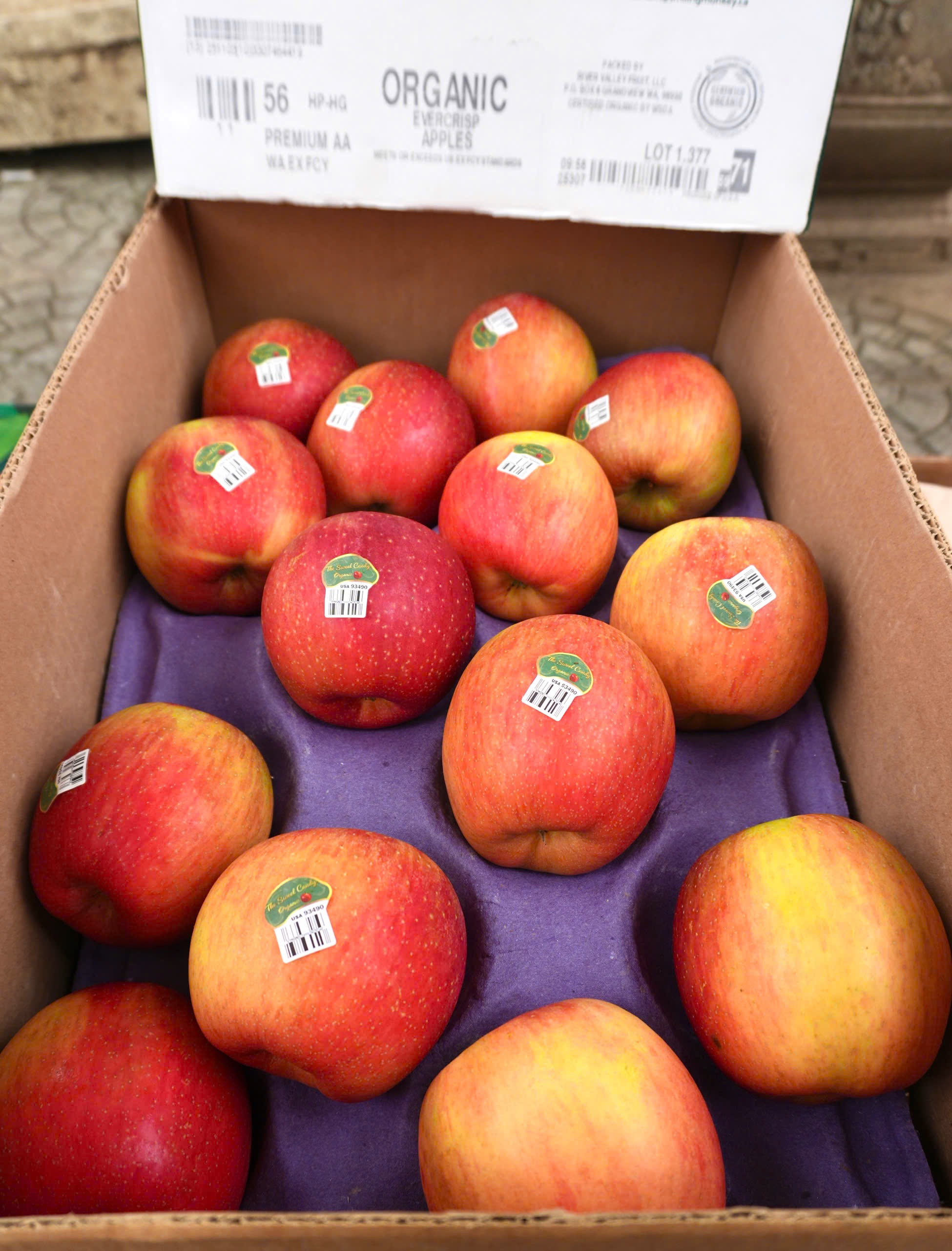 Táo tươi hữu cơ Evercrisp Mỹ 2A-56