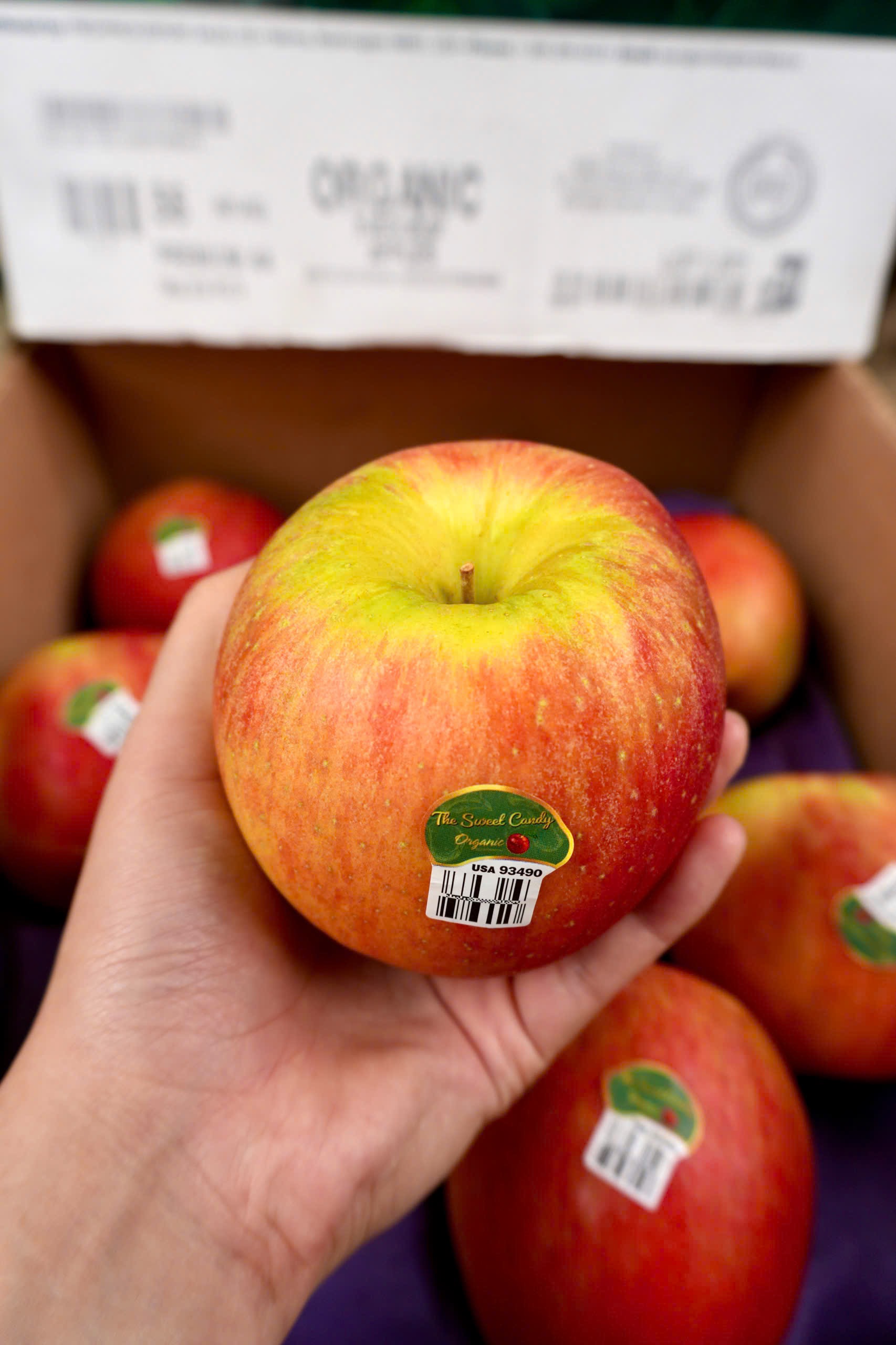 Táo tươi hữu cơ Evercrisp Mỹ 2A-56