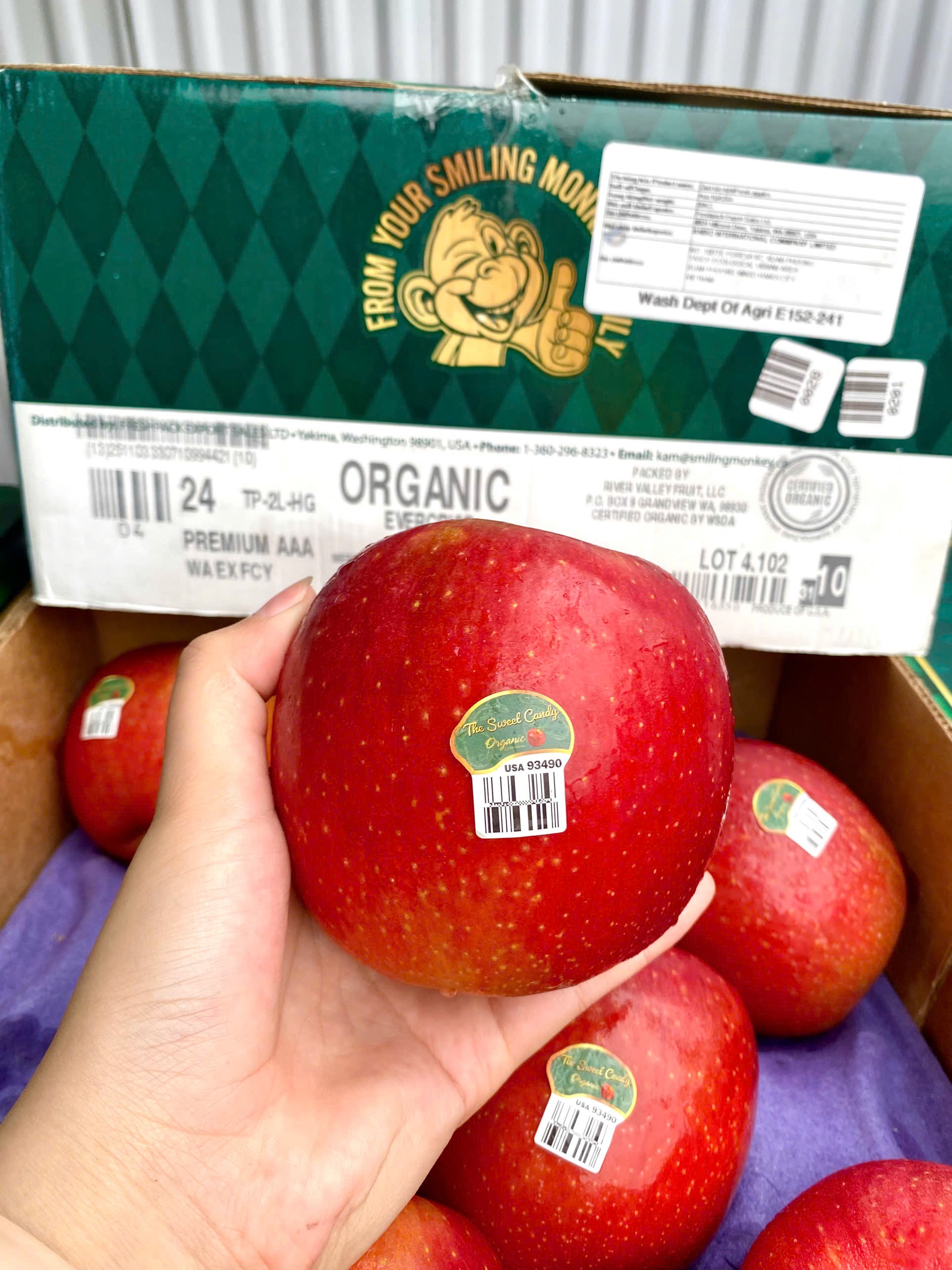 Táo tươi hữu cơ Evercrisp Mỹ 3A-24