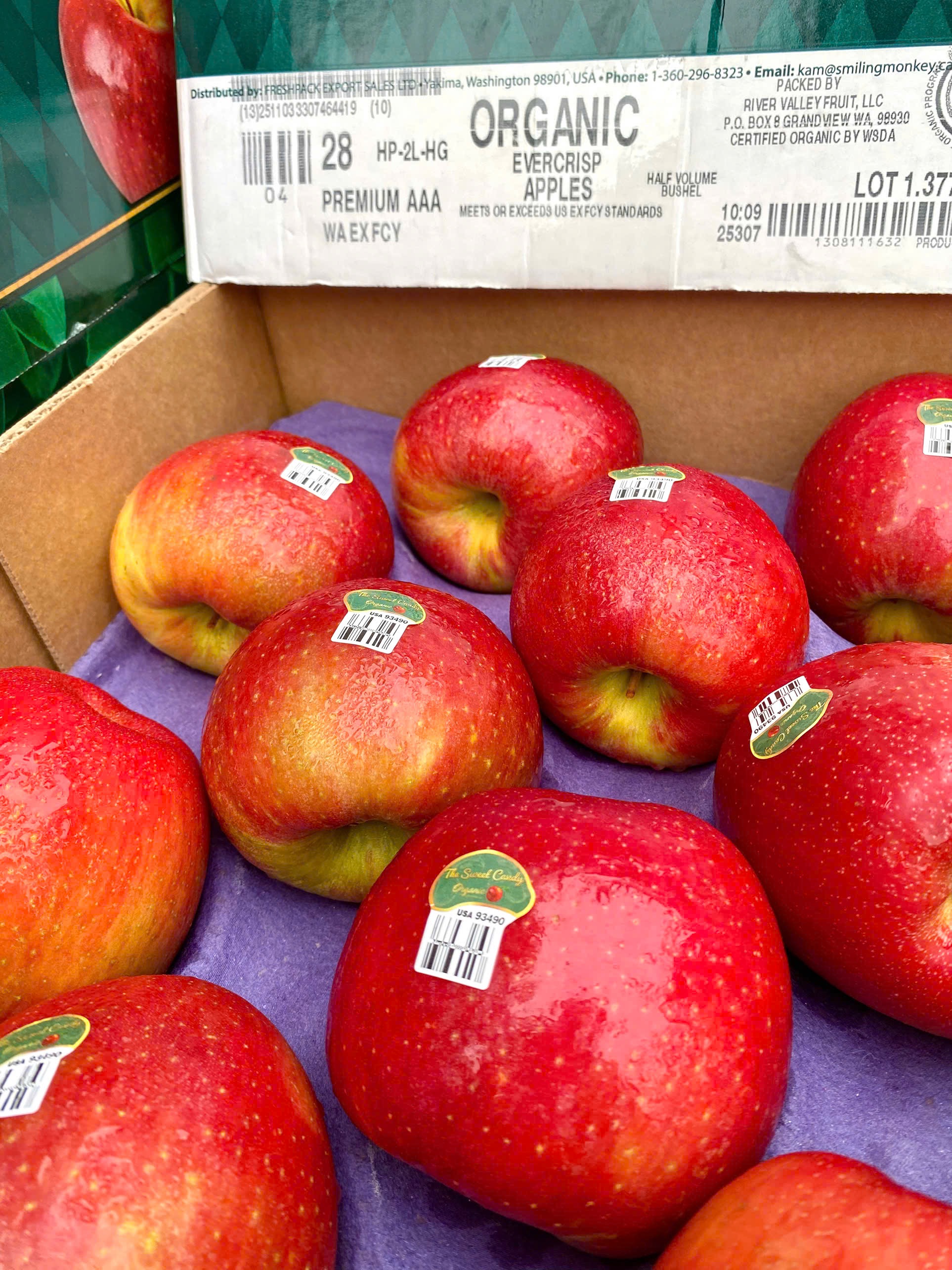 Táo tươi hữu cơ Evercrisp Mỹ 3A-28