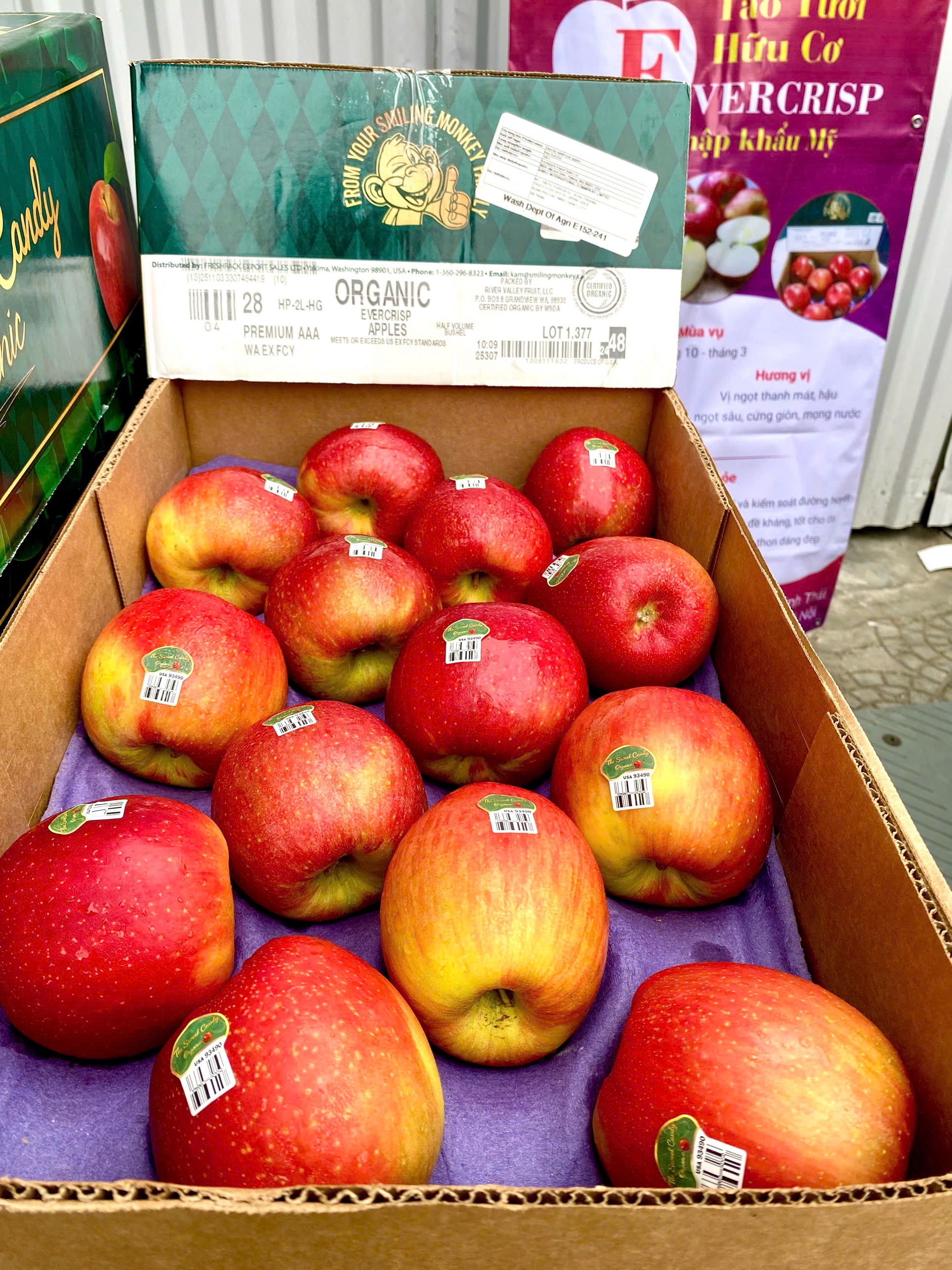 Táo tươi hữu cơ Evercrisp Mỹ 3A-28