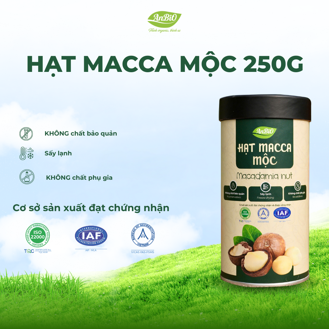 Hạt Macca Mộc - 250g (Hộp Tròn)