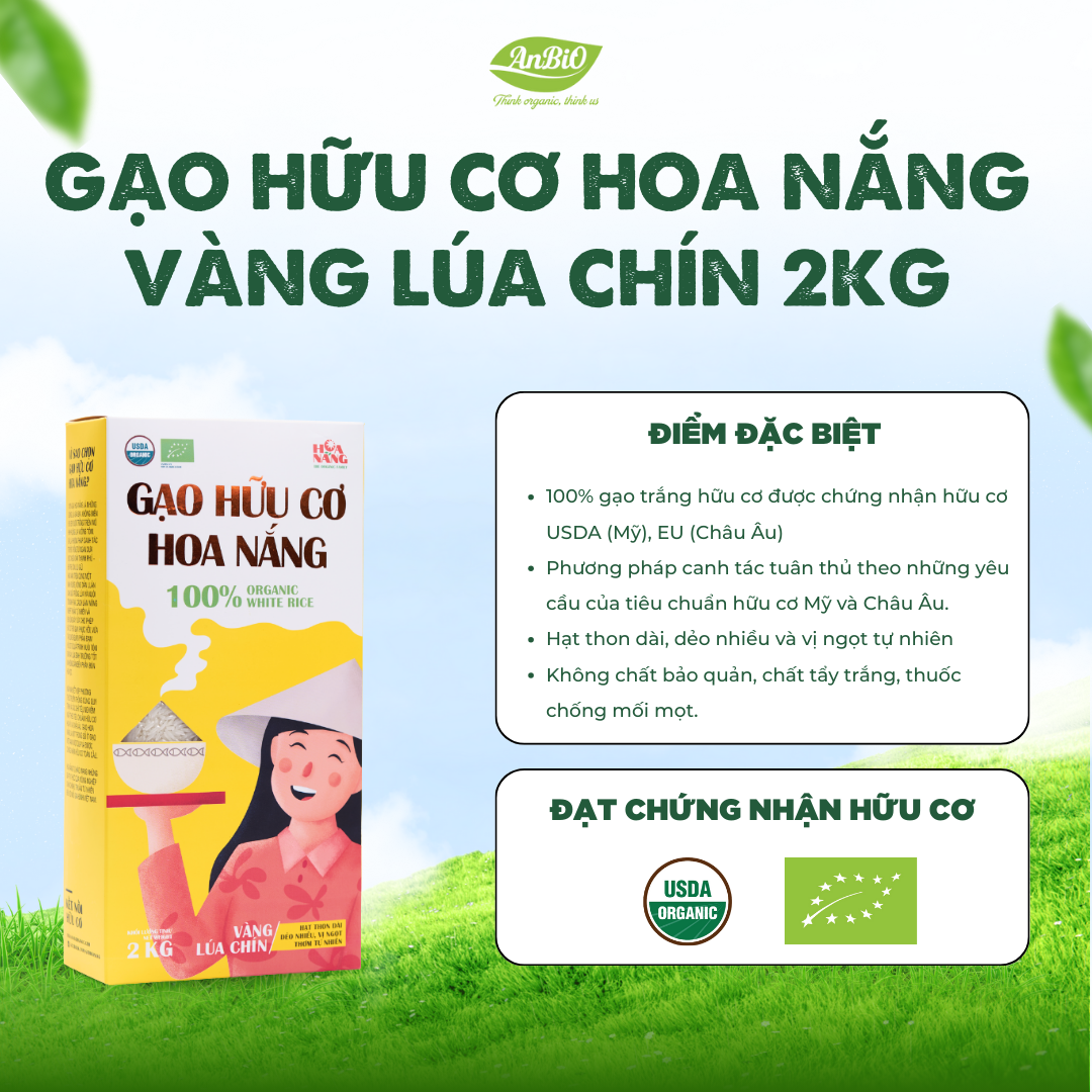 Gạo hữu cơ Hoa nắng Vàng Lúa chín 2kg