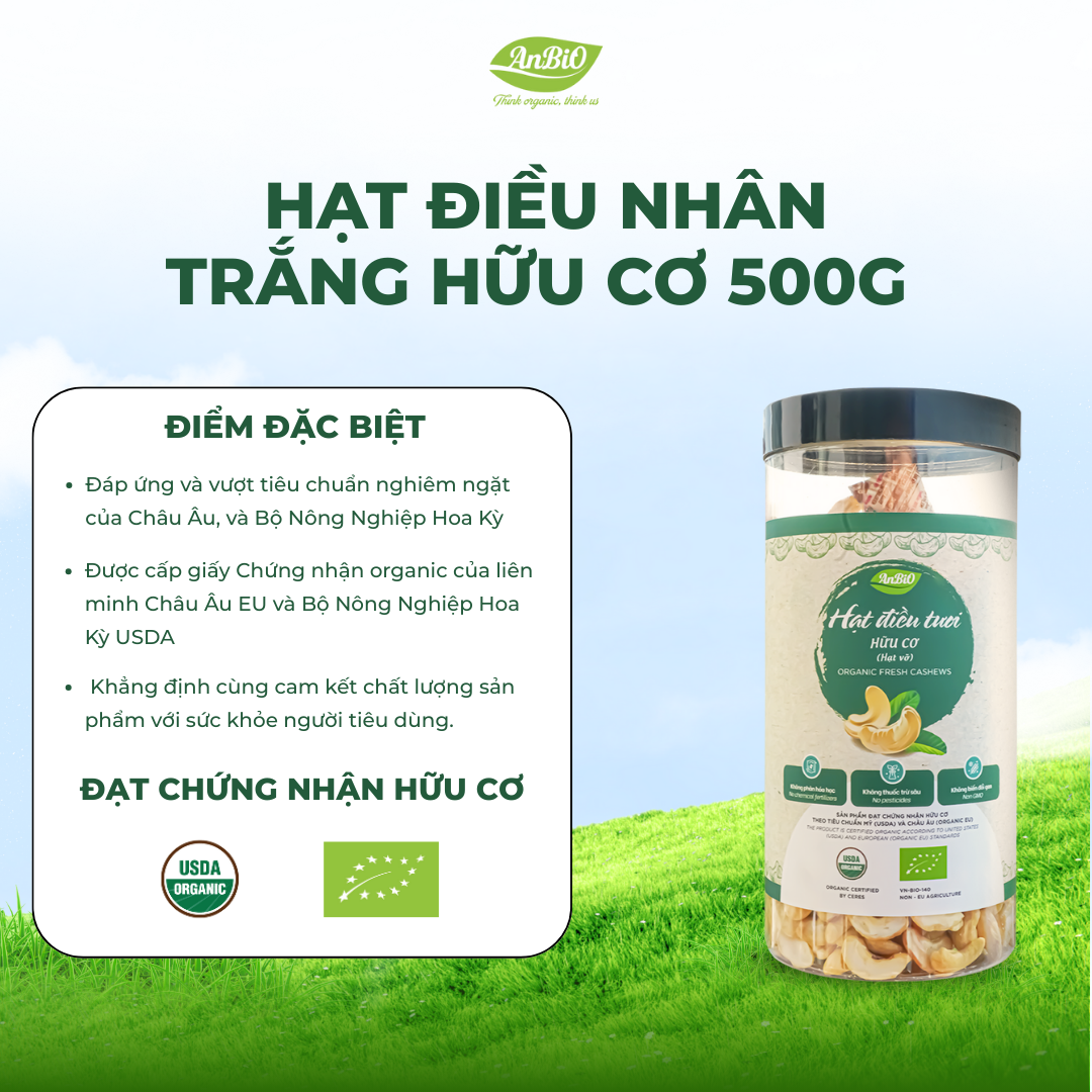 Hạt điều nhân trắng hữu cơ WS hạt vỡ 500g