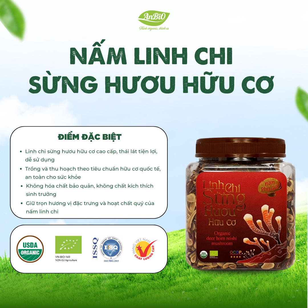 Nấm Linh Chi Sừng Hươu - Organic nguyên chiếc/thái lát 300g/500g