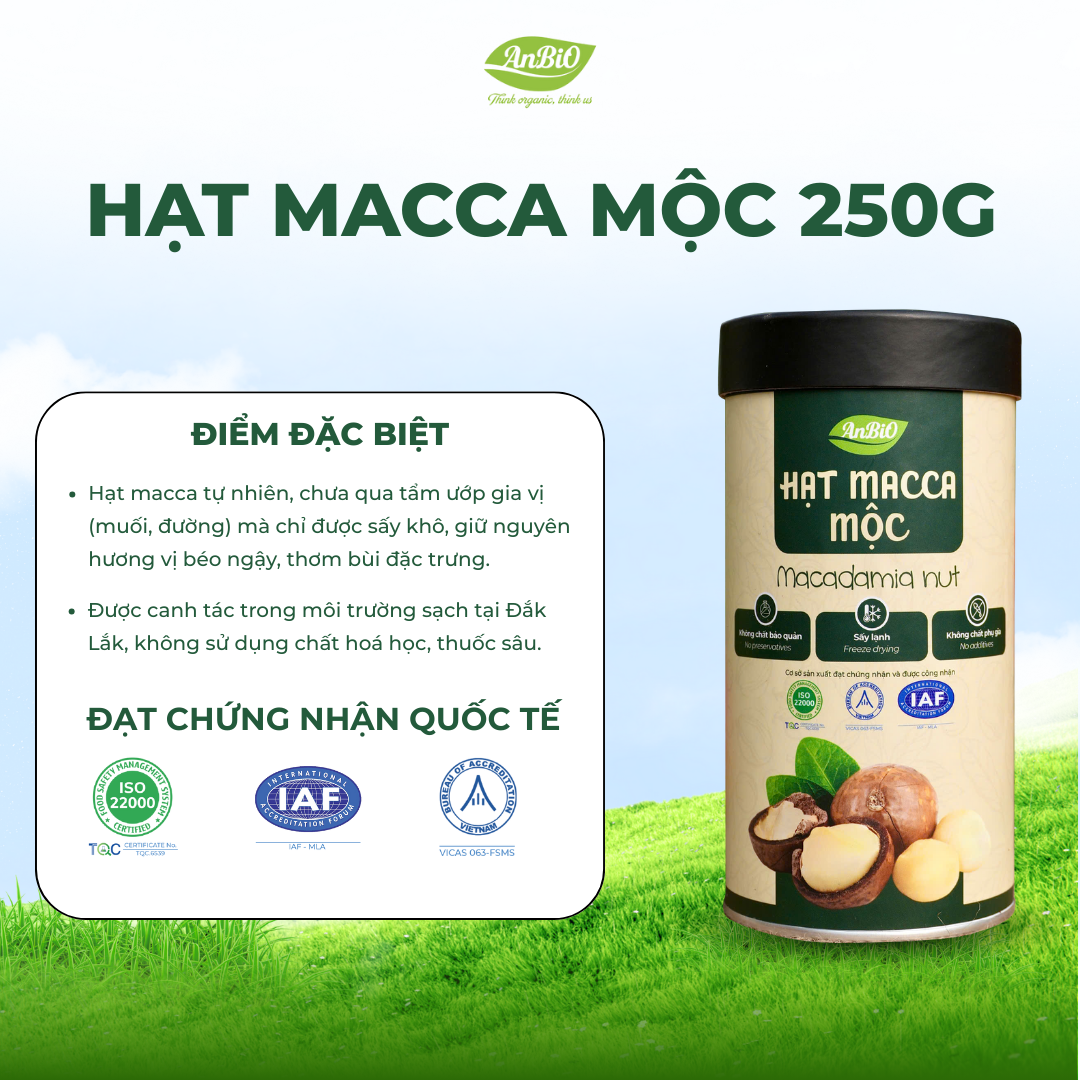 Hạt Macca Mộc - 250g (Hộp Tròn)