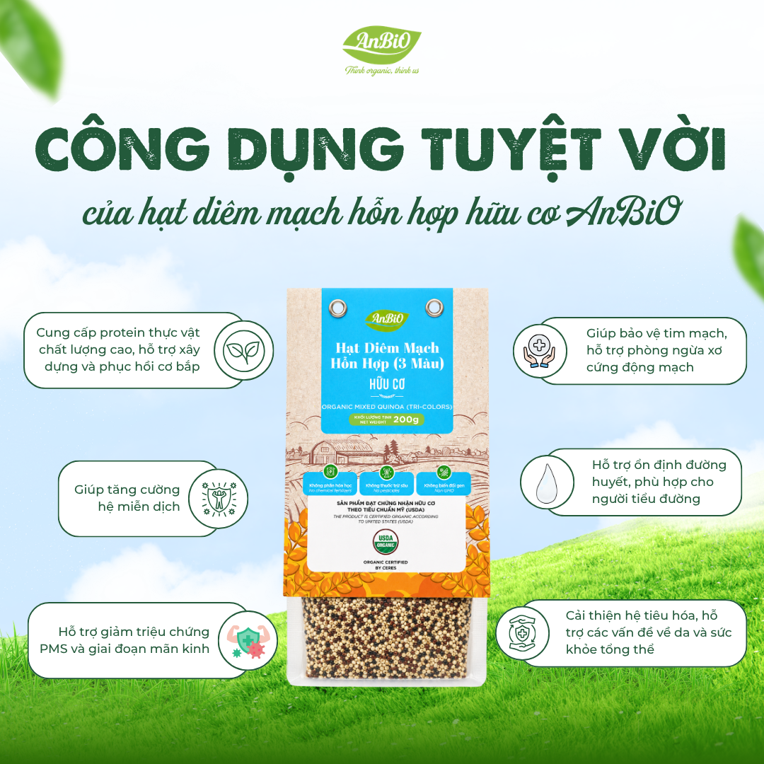 Hạt diêm mạch 3 màu hữu cơ AnbiO