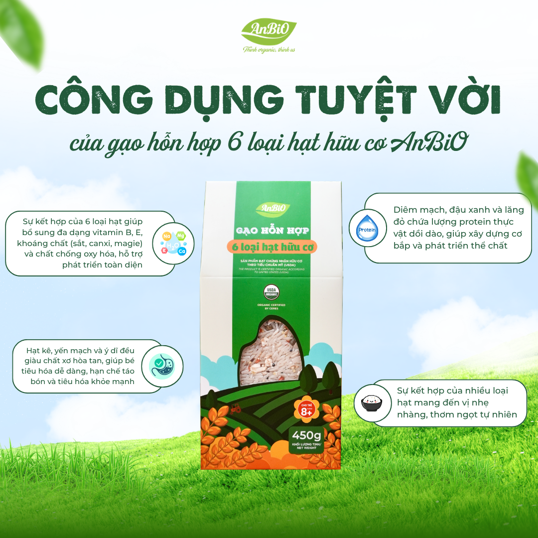 Gạo hỗn hợp 6 loại hạt hữu cơ