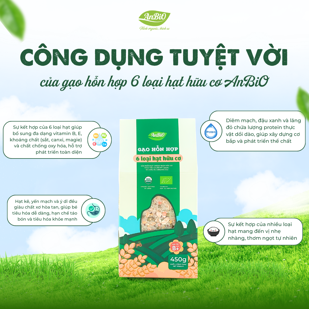 Gạo hỗn hợp 6 loại hạt hữu cơ