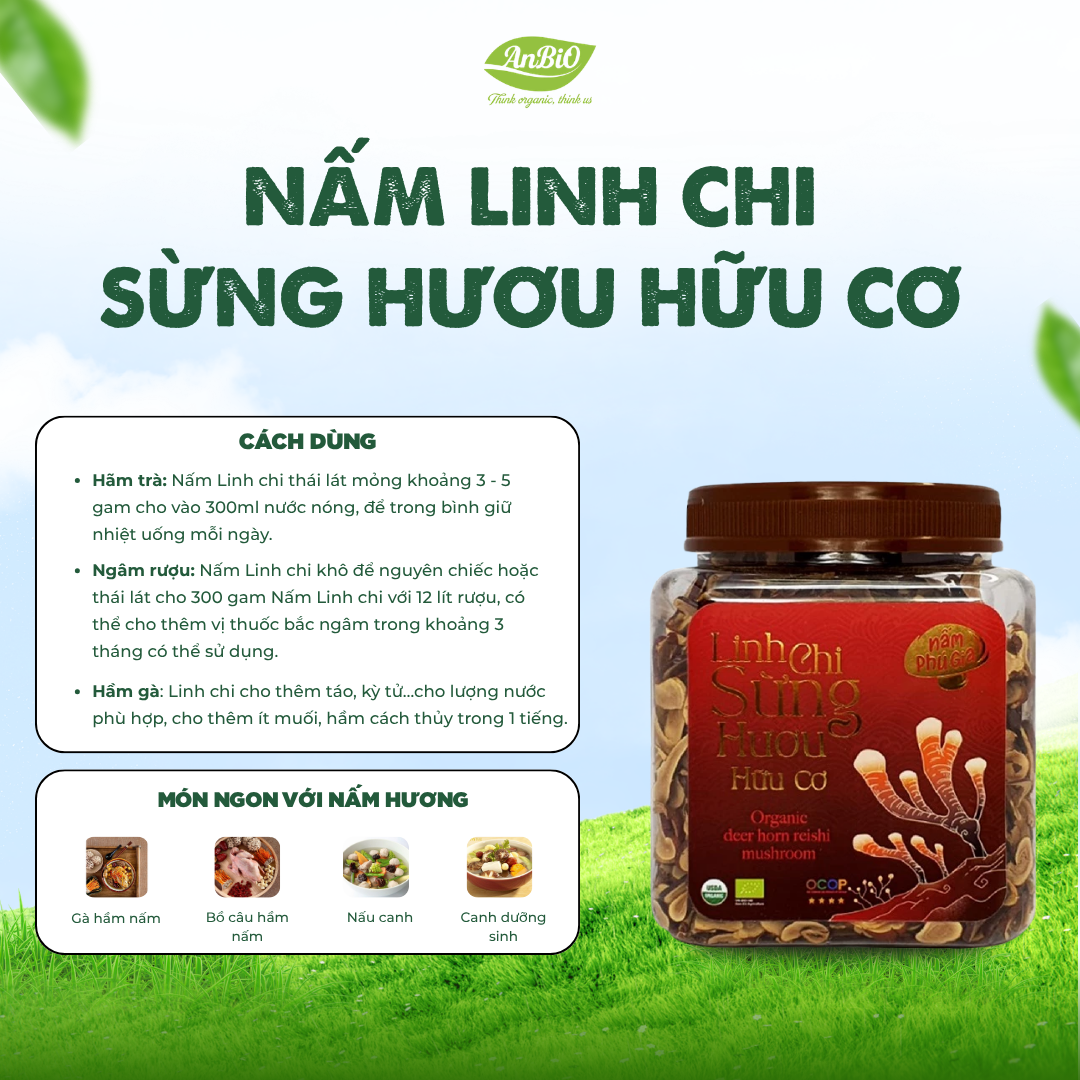 Nấm Linh Chi Sừng Hươu - Organic nguyên chiếc/thái lát 300g/500g