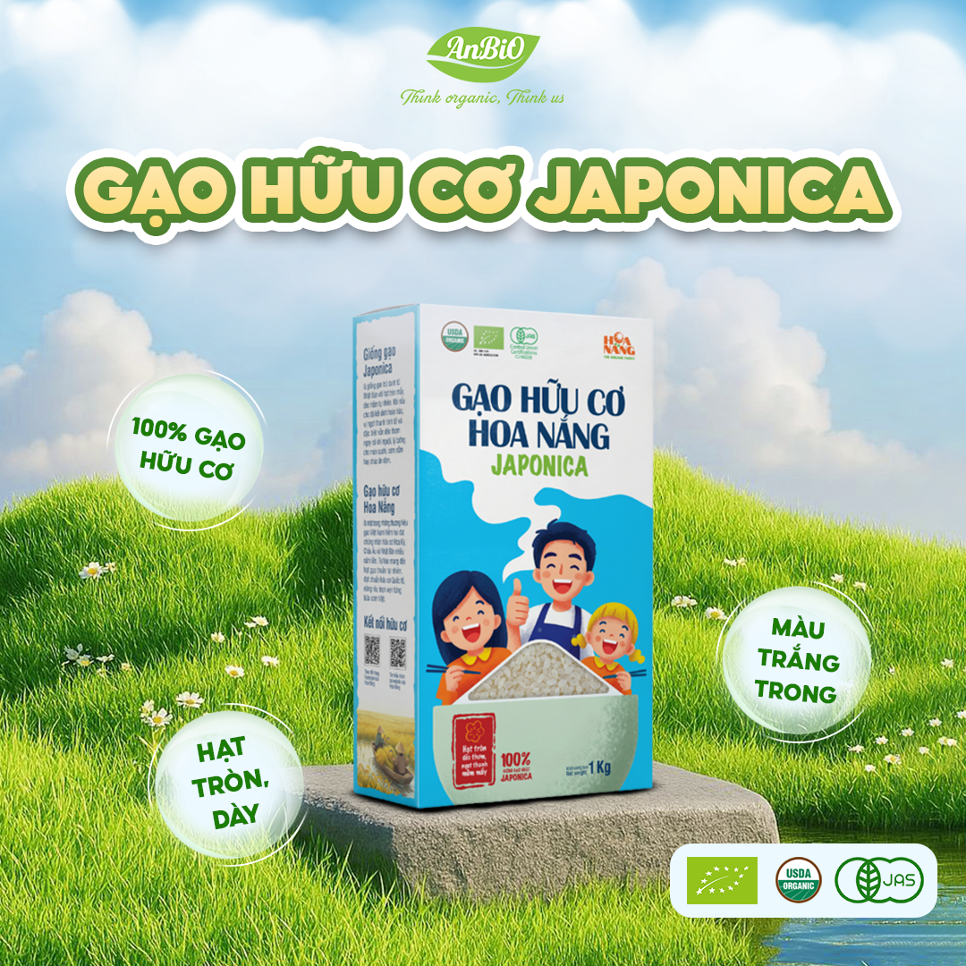 Gạo HOA NẮNG Japonica