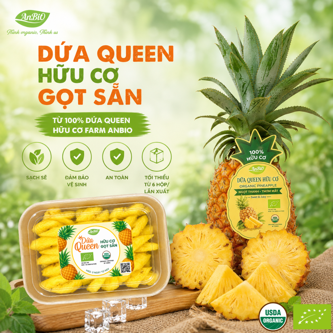 Dứa hữu cơ AnBiO gọt sẵn (chỉ ship nội thành Hà Nội)