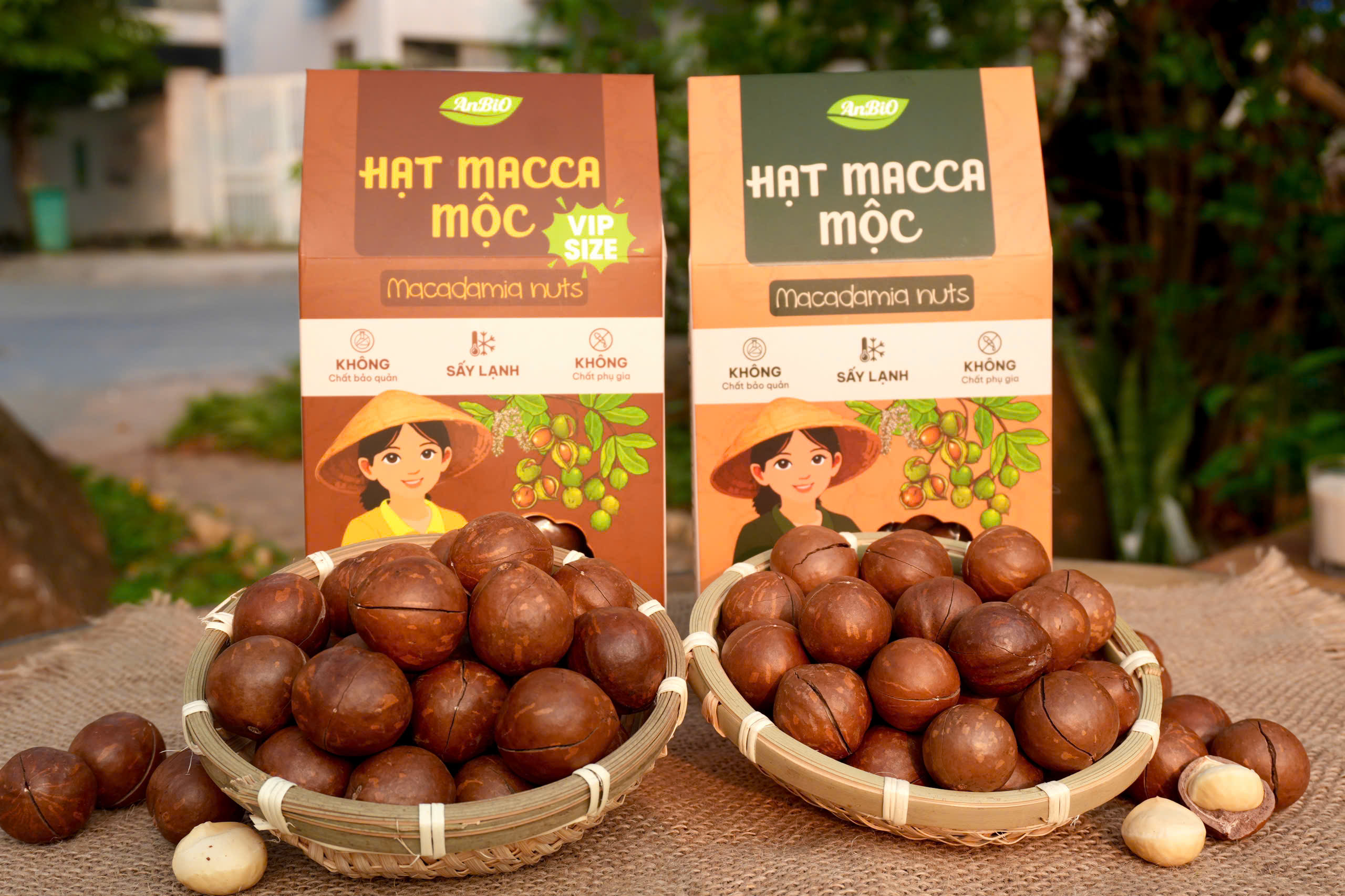 Hạt Macca Mộc Vip Size - 450g