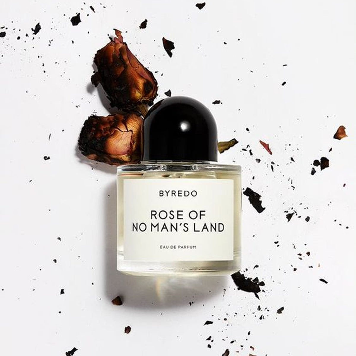 Rose Of No Man's Land