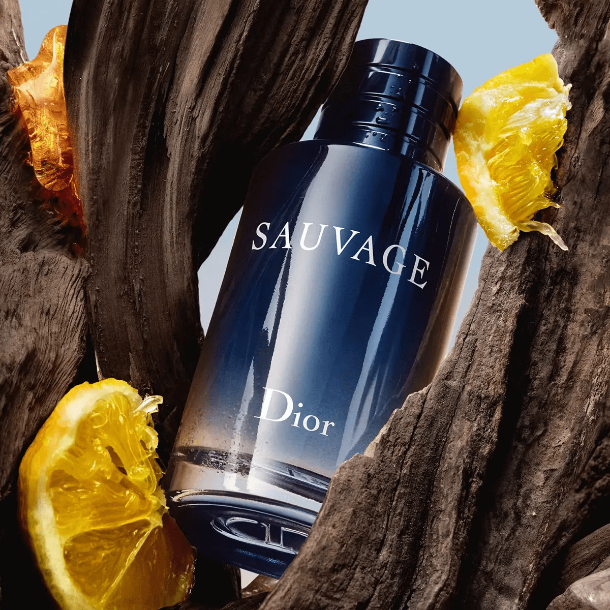 Dior Sauvage Eau de Toilette