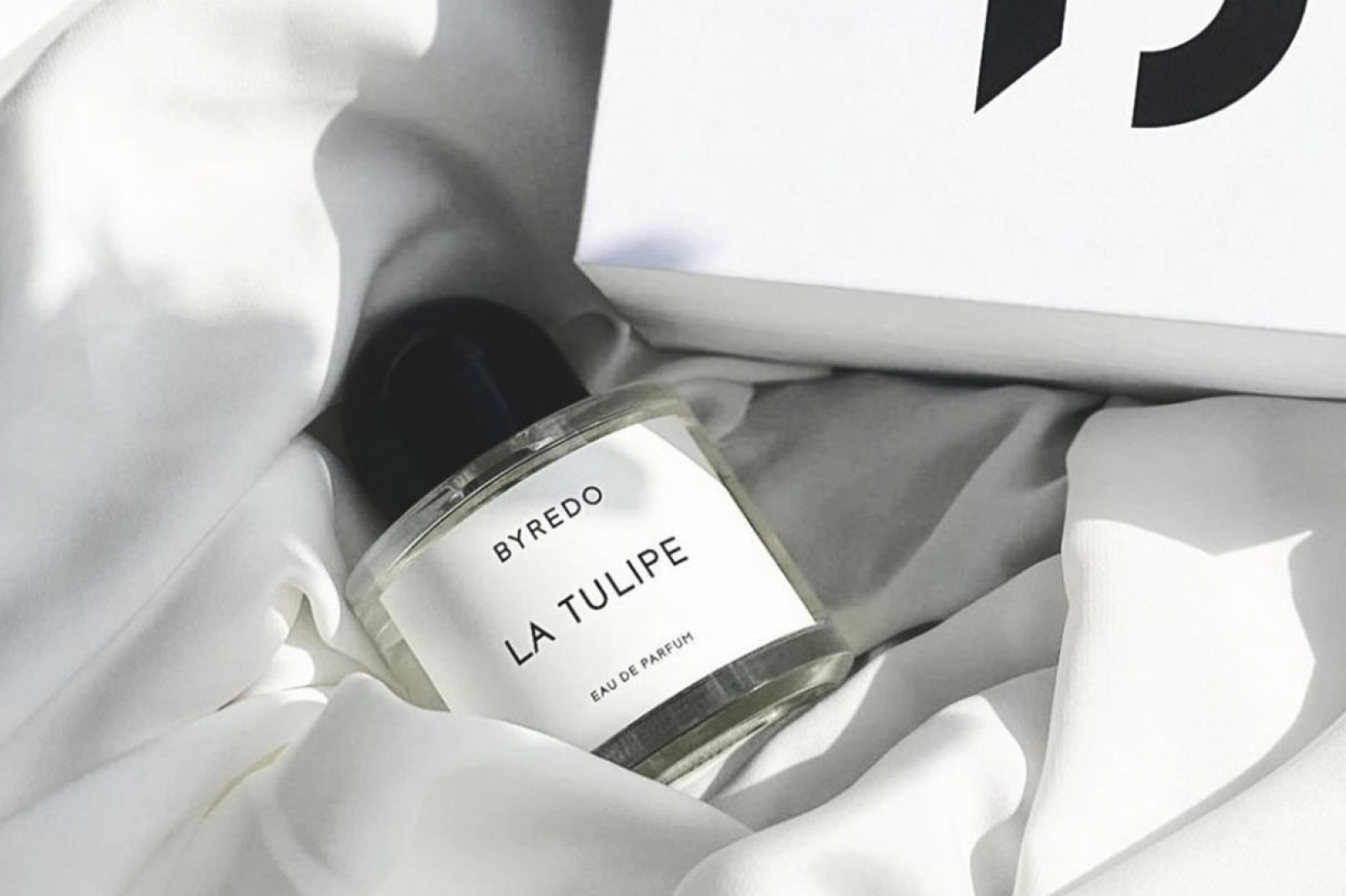 La Tulipe