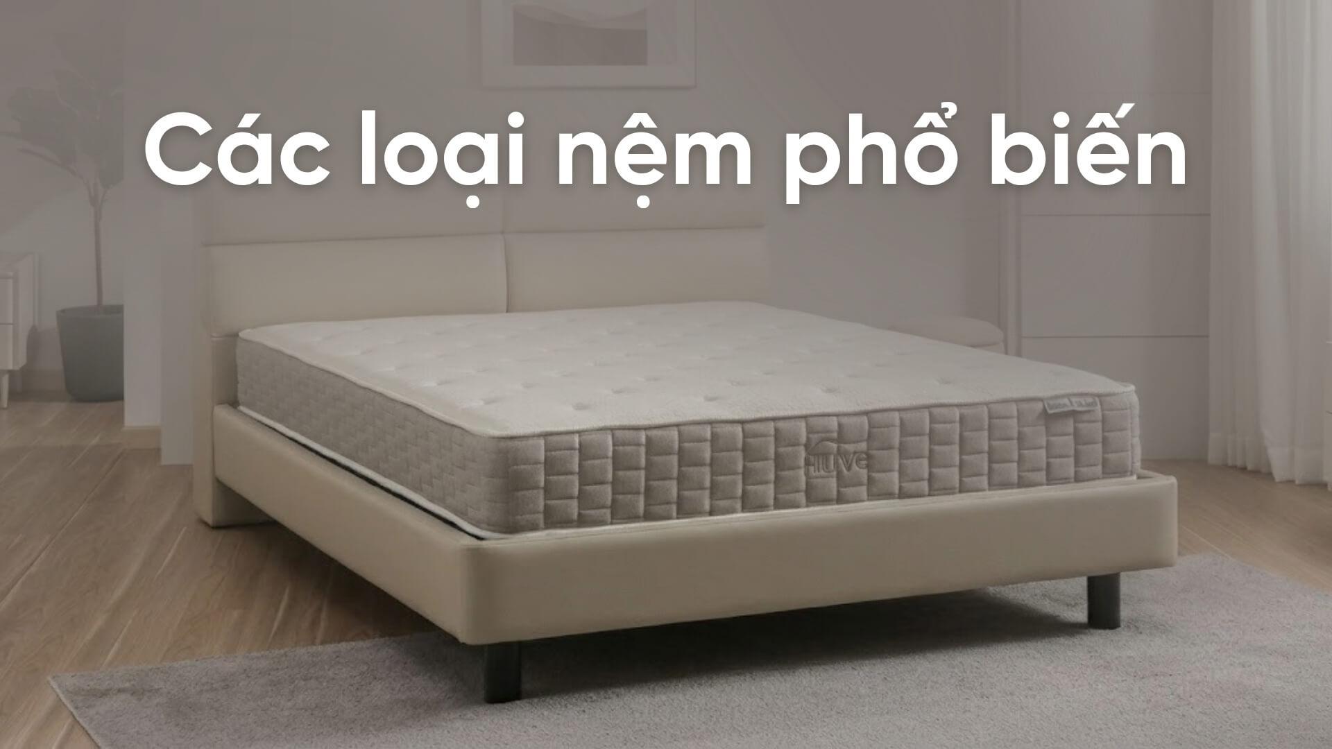 Các loại nệm phổ biến hiện nay và cách chọn nệm phù hợp