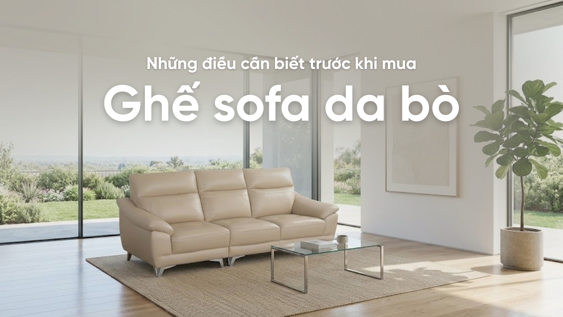 Những điều cần biết trước khi mua ghế sofa da bò cao cấp