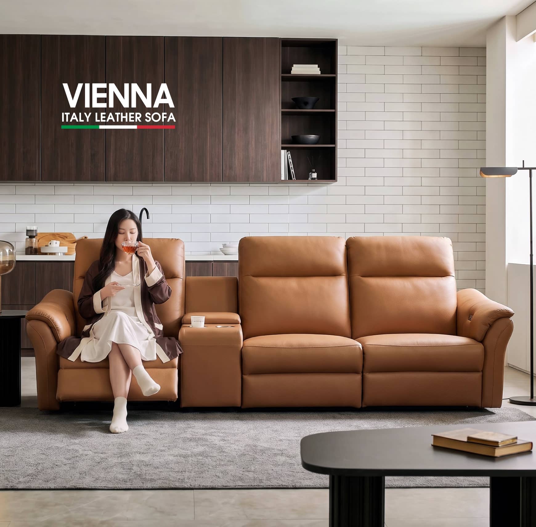 Giới thiệu Sofa Da Vienna