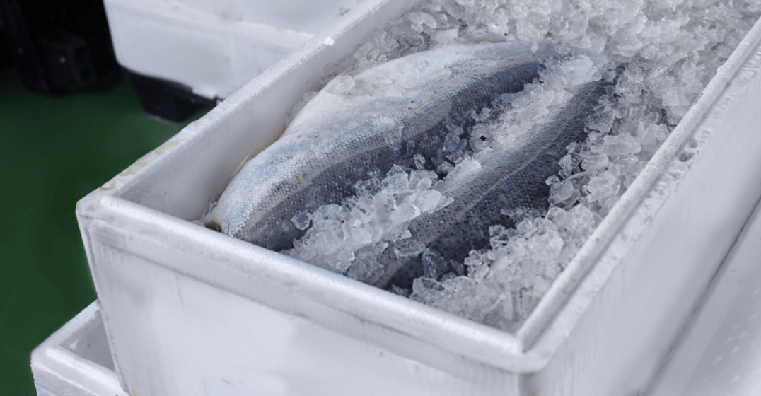 Resistor Sensor for Food Transport